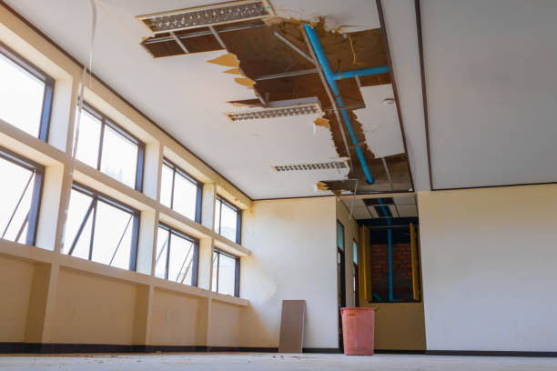 Best 24/7 water damage repair  in Boronda, CA