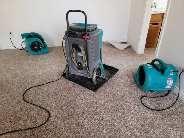 Best 24-hour water damage restoration  in Boronda, CA