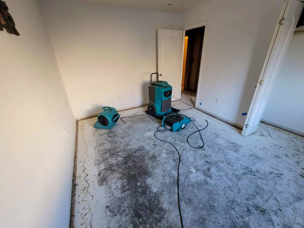  Boronda, CA Water damage restoration Pros