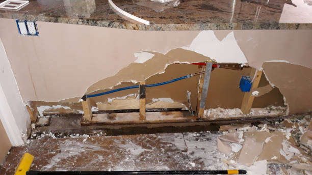 Best Ceiling water damage repair  in Boronda, CA