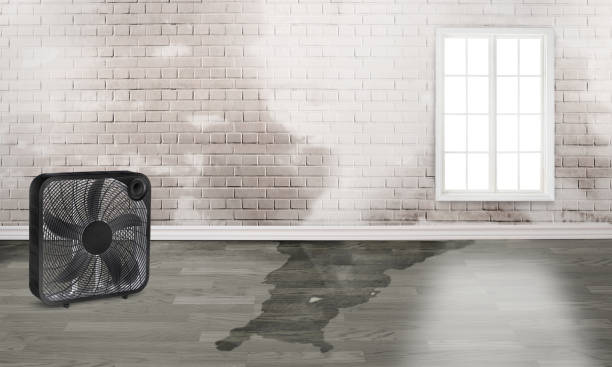 Best 24-hour water damage restoration  in Boronda, CA