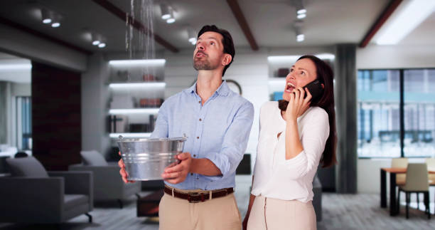 Best Water damage contractors near me  in Boronda, CA